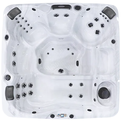 Avalon EC-840L hot tubs for sale in France