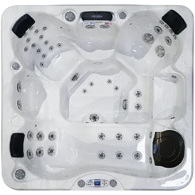 Avalon EC-849L hot tubs for sale in France