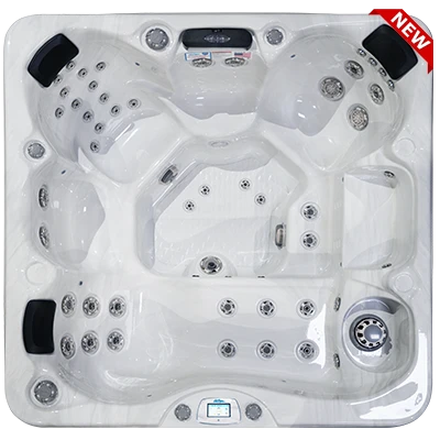 Avalon-X EC-849LX hot tubs for sale in France