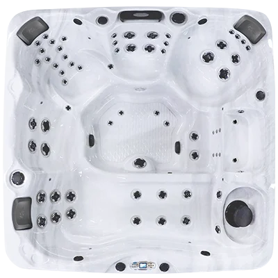 Avalon EC-867L hot tubs for sale in France