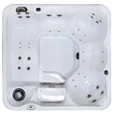 Hawaiian PZ-636L hot tubs for sale in France